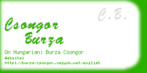 csongor burza business card